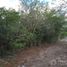  Land for sale in Valladolid, Yucatan, Valladolid