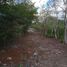  Land for sale in Valladolid, Yucatan, Valladolid