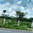  Land for sale in Tecoh, Yucatan, Tecoh