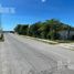  Land for sale in Champoton, Campeche, Champoton