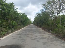 Terrain à vendre à Isla Mujeres, Quintana Roo, Isla Mujeres