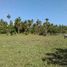  Land for sale in Benito Juarez, Guerrero, Benito Juarez