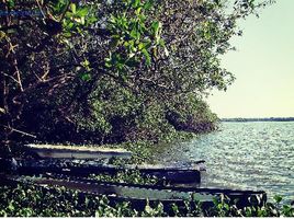  Land for sale in Benito Juarez, Guerrero, Benito Juarez