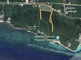  Terreno (Parcela) en venta en Cozumel, Quintana Roo, Cozumel