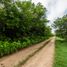  Terreno (Parcela) en venta en Yucatán, Conkal, Yucatán