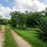  Terreno (Parcela) en venta en Yucatán, Conkal, Yucatán