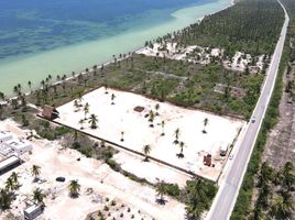  Terreno (Parcela) en venta en Yucatán, Sinanche, Yucatán