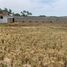  Terreno (Parcela) en venta en México, Toluca, México