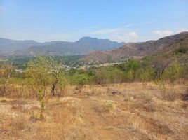  Grundstück zu verkaufen in Joquicingo, Mexico, Joquicingo
