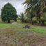 Land for sale in Othon P Blanco, Quintana Roo, Othon P Blanco, Quintana Roo