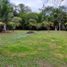  Land for sale in Othon P Blanco, Quintana Roo, Othon P Blanco, Quintana Roo
