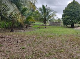  Land for sale in Othon P Blanco, Quintana Roo, Othon P Blanco, Quintana Roo