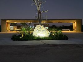  Grundstück zu verkaufen in Yaxkukul, Yucatan, Yaxkukul