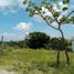  Land for sale in Coatepec, Veracruz, Coatepec