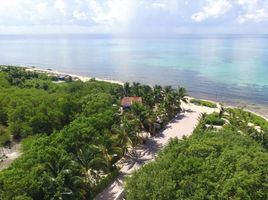  Grundstück zu verkaufen in Cozumel, Quintana Roo, Cozumel