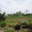  Land for sale in Jalpa De Mendez, Tabasco, Jalpa De Mendez, Tabasco