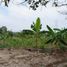  Land for sale in Jalpa De Mendez, Tabasco, Jalpa De Mendez, Tabasco
