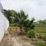  Land for sale in Jalpa De Mendez, Tabasco, Jalpa De Mendez, Tabasco