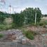  Land for sale in General Zuazua, Nuevo Leon, General Zuazua