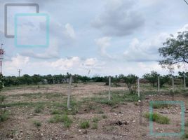  Land for sale in General Zuazua, Nuevo Leon, General Zuazua