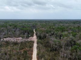  Grundstück zu verkaufen in Cozumel, Quintana Roo, Cozumel