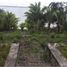 Terrain à vendre à Othon P Blanco, Quintana Roo, Othon P Blanco