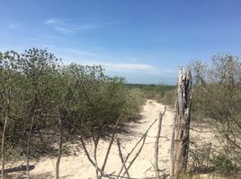  Grundstück zu verkaufen in Pesqueria, Nuevo Leon, Pesqueria