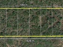  Land for sale in Acanceh, Yucatan, Acanceh