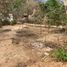  Land for sale in Dist Pochutla, Oaxaca, Dist Pochutla, Oaxaca