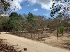  Land for sale in Dist Pochutla, Oaxaca, Dist Pochutla, Oaxaca