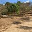  Land for sale in Dist Pochutla, Oaxaca, Dist Pochutla, Oaxaca