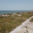  Grundstück zu verkaufen in Chicxulub Pueblo, Yucatan, Chicxulub Pueblo