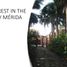4 Schlafzimmer Haus zu verkaufen in Merida, Yucatan, Merida, Yucatan