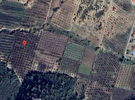  Land for sale in Arteaga, Coahuila, Arteaga