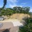  Land for sale in Tancanhuitz De Santos, San Luis Potosi, Tancanhuitz De Santos