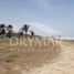  Land for sale in Aldama Tamaulipas, Aldama