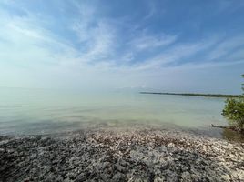  Grundstück zu verkaufen in Othon P Blanco, Quintana Roo, Othon P Blanco