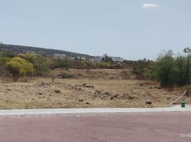  Land for sale in Lagos De Moreno, Jalisco, Lagos De Moreno