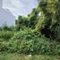  Land for sale in Cozumel, Quintana Roo, Cozumel