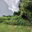  Land for sale in Cozumel, Quintana Roo, Cozumel