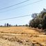  Land for sale in Silao, Guanajuato, Silao