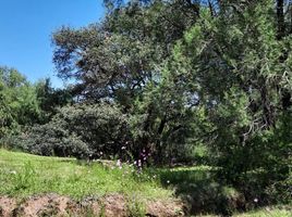  Land for sale in Omitlan De Juarez, Hidalgo, Omitlan De Juarez