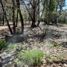  Land for sale in Omitlan De Juarez, Hidalgo, Omitlan De Juarez
