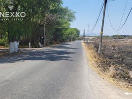  Terreno (Parcela) en venta en Queretaro, Querétaro, Queretaro, Querétaro