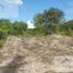Terrain à vendre à Telchac Puerto, Yucatan, Telchac Puerto