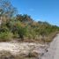  Grundstück zu verkaufen in Othon P Blanco, Quintana Roo, Othon P Blanco