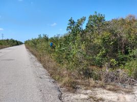  Grundstück zu verkaufen in Othon P Blanco, Quintana Roo, Othon P Blanco