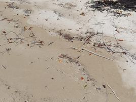  Grundstück zu verkaufen in Othon P Blanco, Quintana Roo, Othon P Blanco