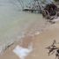  Grundstück zu verkaufen in Othon P Blanco, Quintana Roo, Othon P Blanco