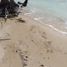  Grundstück zu verkaufen in Othon P Blanco, Quintana Roo, Othon P Blanco